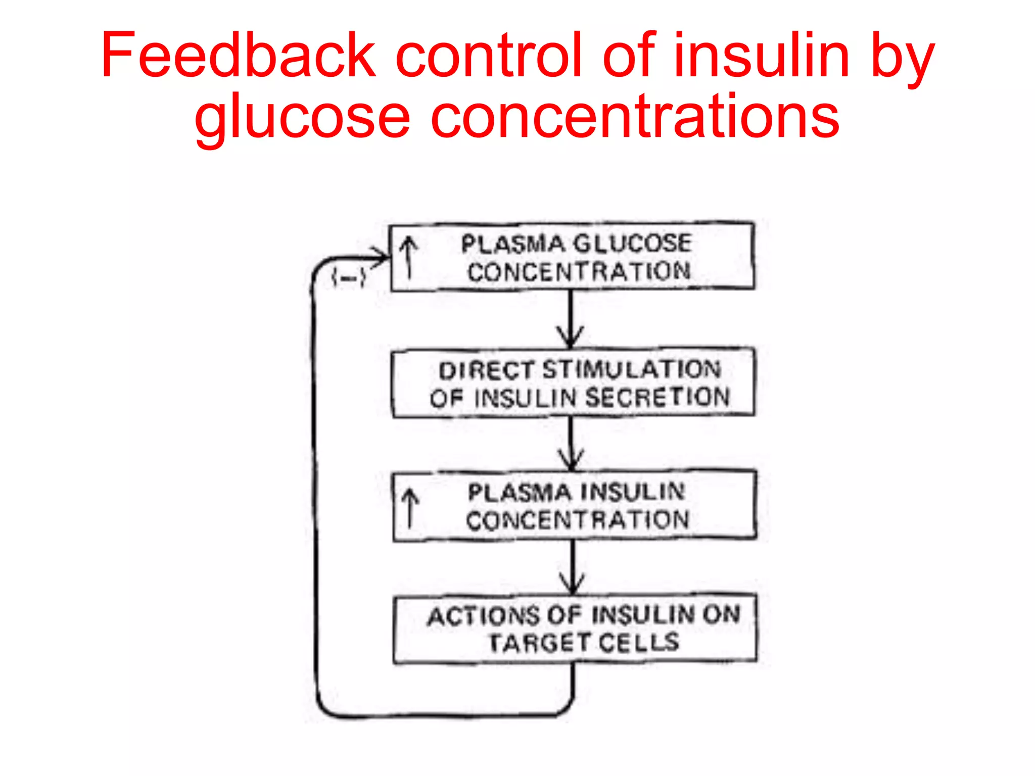 Feedback control of insulin by
glucose concentrations
 