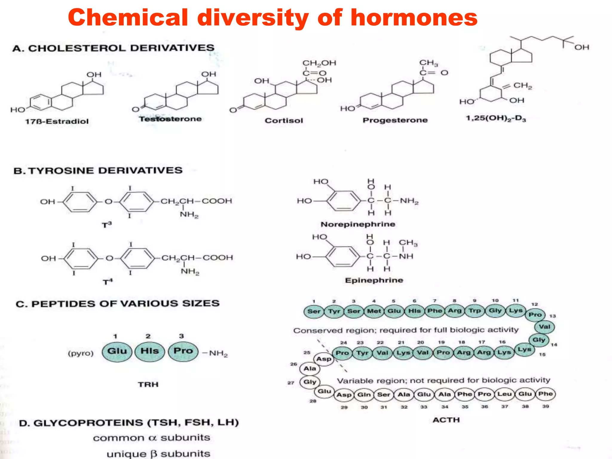 Chemical diversity of hormones
 