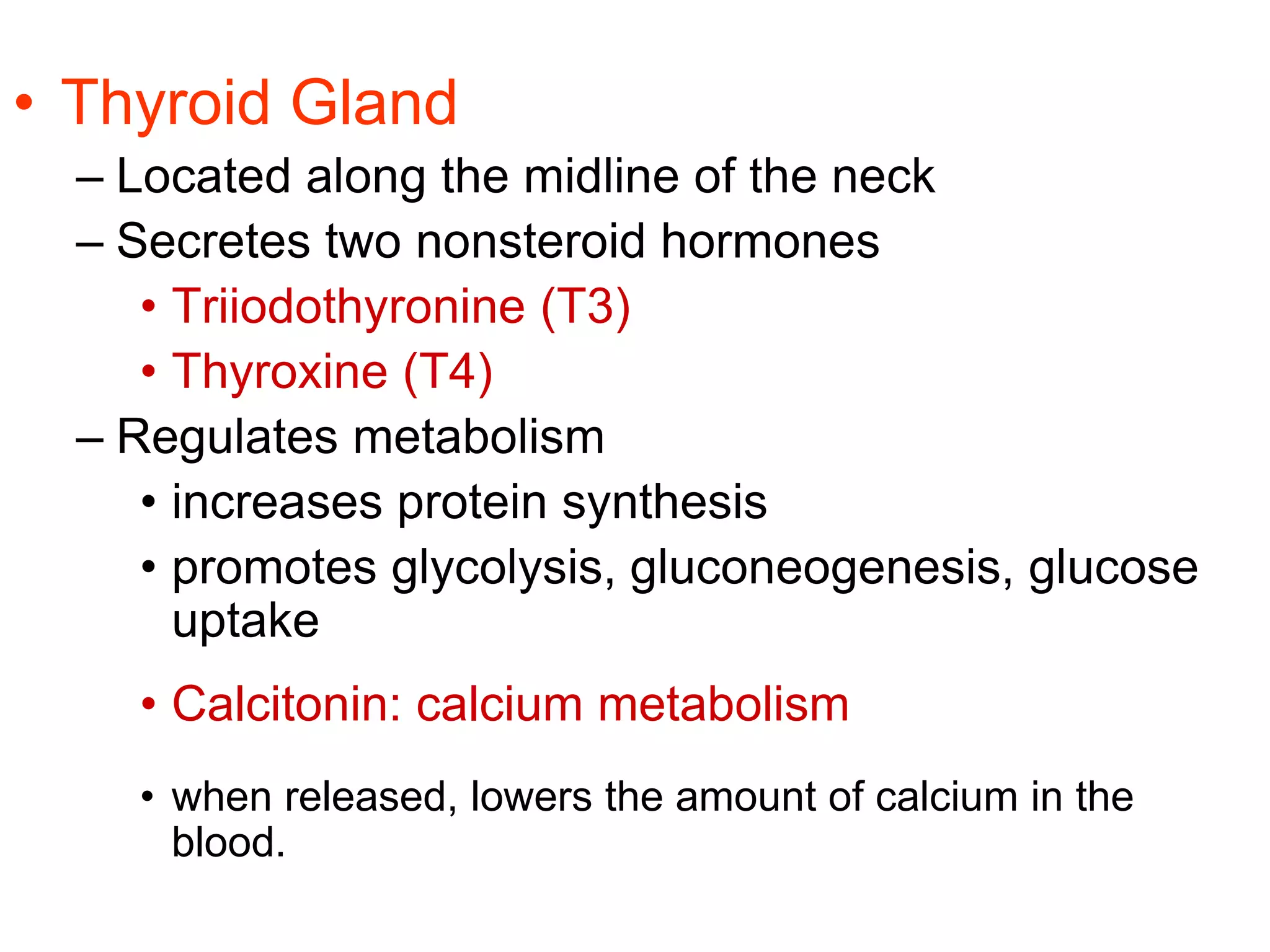 • Thyroid Gland
– Located along the midline of the neck
– Secretes two nonsteroid hormones
• Triiodothyronine (T3)
• Thyroxine (T4)
– Regulates metabolism
• increases protein synthesis
• promotes glycolysis, gluconeogenesis, glucose
uptake
• Calcitonin: calcium metabolism
• when released, lowers the amount of calcium in the
blood.
 