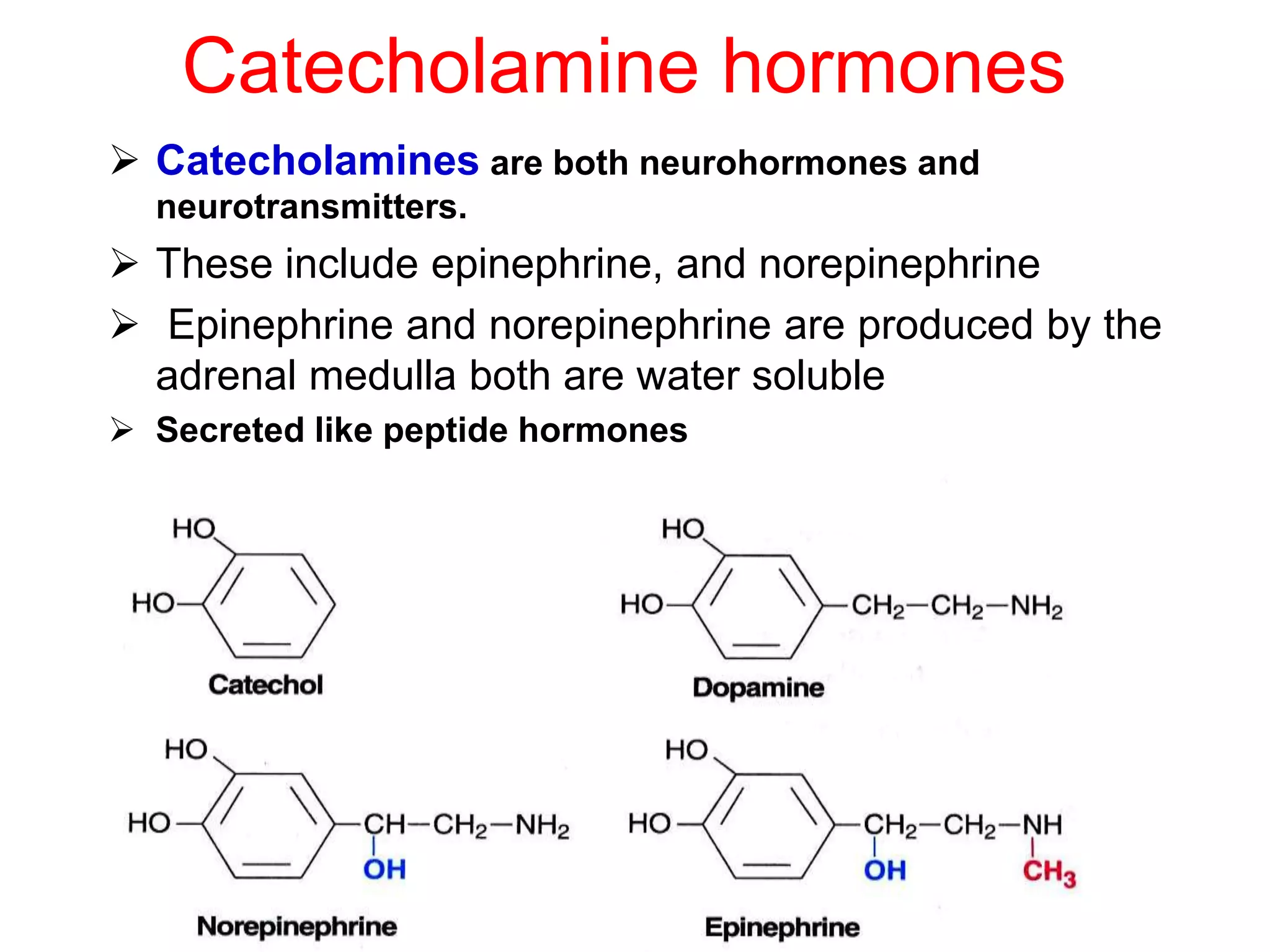 Catecholamine hormones
 Catecholamines are both neurohormones and
neurotransmitters.
 These include epinephrine, and norepinephrine
 Epinephrine and norepinephrine are produced by the
adrenal medulla both are water soluble
 Secreted like peptide hormones
 