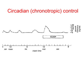 Circadian (chronotropic) control
 