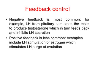 Feedback control
• Negative feedback is most common: for
example, LH from pituitary stimulates the testis
to produce testosterone which in turn feeds back
and inhibits LH secretion
• Positive feedback is less common: examples
include LH stimulation of estrogen which
stimulates LH surge at ovulation
 