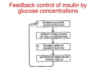 Feedback control of insulin by
glucose concentrations
 