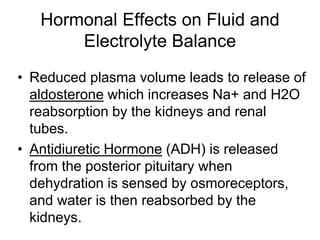 Hormonal Effects on Fluid and
Electrolyte Balance
• Reduced plasma volume leads to release of
aldosterone which increases Na+ and H2O
reabsorption by the kidneys and renal
tubes.
• Antidiuretic Hormone (ADH) is released
from the posterior pituitary when
dehydration is sensed by osmoreceptors,
and water is then reabsorbed by the
kidneys.
 