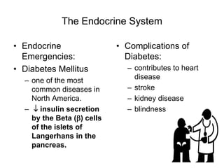 The Endocrine System
• Endocrine
Emergencies:
• Diabetes Mellitus
– one of the most
common diseases in
North America.
–  insulin secretion
by the Beta () cells
of the islets of
Langerhans in the
pancreas.
• Complications of
Diabetes:
– contributes to heart
disease
– stroke
– kidney disease
– blindness
 