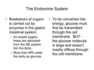 The Endocrine System
• Breakdown of sugars
is carried out by
enzymes in the gastro
intestinal system.
– As simple sugars,
these are absorbed
from the GE system
into the body.
– More than 95% enter
the body as glucose.
• To be converted into
energy, glucose must
first be transmitted
through the cell
membrane. BUT -
the glucose molecule
is large and doesn’t
readily diffuse through
the cell membrane.
 