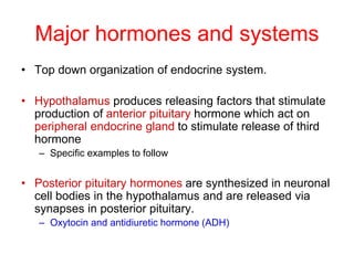 Major hormones and systems
• Top down organization of endocrine system.
• Hypothalamus produces releasing factors that stimulate
production of anterior pituitary hormone which act on
peripheral endocrine gland to stimulate release of third
hormone
– Specific examples to follow
• Posterior pituitary hormones are synthesized in neuronal
cell bodies in the hypothalamus and are released via
synapses in posterior pituitary.
– Oxytocin and antidiuretic hormone (ADH)
 