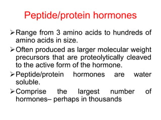 Range from 3 amino acids to hundreds of
amino acids in size.
Often produced as larger molecular weight
precursors that are proteolytically cleaved
to the active form of the hormone.
Peptide/protein hormones are water
soluble.
Comprise the largest number of
hormones– perhaps in thousands
Peptide/protein hormones
 