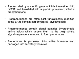 • Are encoded by a specific gene which is transcribed into
mRNA and translated into a protein precursor called a
preprohormone
• Preprohormones are often post-translationally modified
in the ER to contain carbohydrates (glycosylation)
• Preprohormones contain signal peptides (hydrophobic
amino acids) which targets them to the golgi where
signal sequence is removed to form prohormone
• Prohormone is processed into active hormone and
packaged into secretory vessicles
 