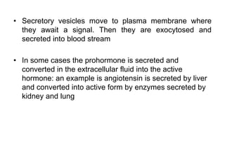 • Secretory vesicles move to plasma membrane where
they await a signal. Then they are exocytosed and
secreted into blood stream
• In some cases the prohormone is secreted and
converted in the extracellular fluid into the active
hormone: an example is angiotensin is secreted by liver
and converted into active form by enzymes secreted by
kidney and lung
 