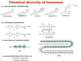 Chemical diversity of hormones
 