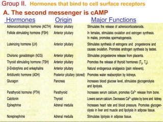 Group II. Hormones that bind to cell surface receptors
A. The second messenger is cAMP
Hormones Origin Major Functions
 