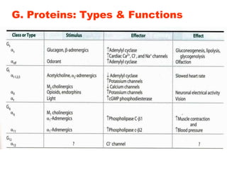 G. Proteins: Types & Functions
 