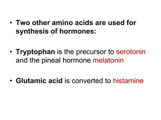 • Two other amino acids are used for
synthesis of hormones:
• Tryptophan is the precursor to serotonin
and the pineal hormone melatonin
• Glutamic acid is converted to histamine
 