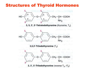 Structures of Thyroid Hormones
 