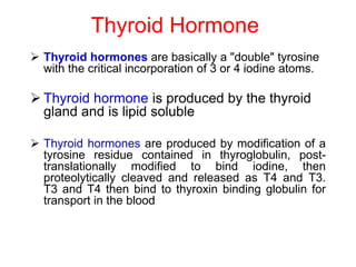 Thyroid Hormone
 Thyroid hormones are basically a "double" tyrosine
with the critical incorporation of 3 or 4 iodine atoms.
 Thyroid hormone is produced by the thyroid
gland and is lipid soluble
 Thyroid hormones are produced by modification of a
tyrosine residue contained in thyroglobulin, post-
translationally modified to bind iodine, then
proteolytically cleaved and released as T4 and T3.
T3 and T4 then bind to thyroxin binding globulin for
transport in the blood
 