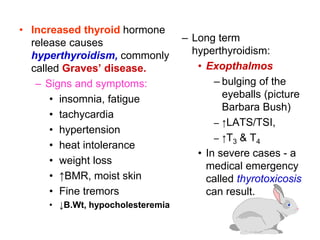 • Increased thyroid hormone
release causes
hyperthyroidism, commonly
called Graves’ disease.
– Signs and symptoms:
• insomnia, fatigue
• tachycardia
• hypertension
• heat intolerance
• weight loss
• ↑BMR, moist skin
• Fine tremors
• ↓B.Wt, hypocholesteremia
– Long term
hyperthyroidism:
• Exopthalmos
– bulging of the
eyeballs (picture
Barbara Bush)
– ↑LATS/TSI,
– ↑T3 & T4
• In severe cases - a
medical emergency
called thyrotoxicosis
can result.
 