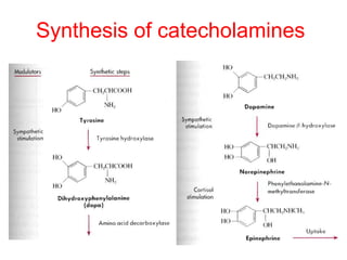 Synthesis of catecholamines
 