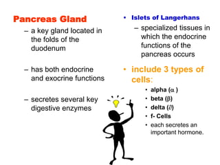 Pancreas Gland
– a key gland located in
the folds of the
duodenum
– has both endocrine
and exocrine functions
– secretes several key
digestive enzymes
• Islets of Langerhans
– specialized tissues in
which the endocrine
functions of the
pancreas occurs
• include 3 types of
cells:
• alpha ( )
• beta ()
• delta ()
• f- Cells
• each secretes an
important hormone.
 