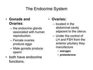 The Endocrine System
• Gonads and
Ovaries:
– the endocrine glands
associated with human
reproduction.
– Female ovaries
produce eggs
– Male gonads produce
sperm
• both have endocrine
functions.
• Ovaries:
– located in the
abdominal cavity
adjacent to the uterus.
– Under the control of
LH and FSH from the
anterior pituitary they
manufacture
• estrogen
• protesterone
 