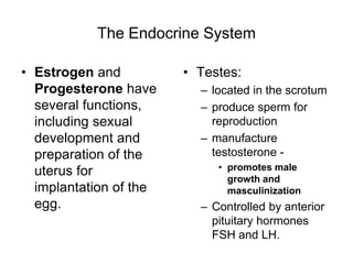 The Endocrine System
• Estrogen and
Progesterone have
several functions,
including sexual
development and
preparation of the
uterus for
implantation of the
egg.
• Testes:
– located in the scrotum
– produce sperm for
reproduction
– manufacture
testosterone -
• promotes male
growth and
masculinization
– Controlled by anterior
pituitary hormones
FSH and LH.
 