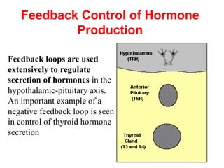 Feedback Control of Hormone
Production
Feedback loops are used
extensively to regulate
secretion of hormones in the
hypothalamic-pituitary axis.
An important example of a
negative feedback loop is seen
in control of thyroid hormone
secretion
 
