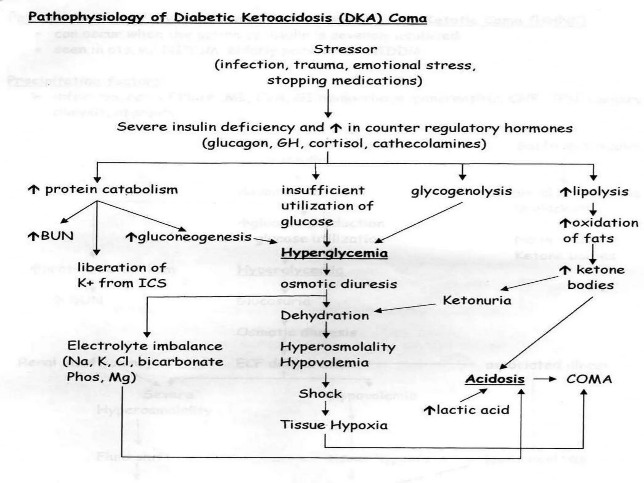 HYPERCALCEMIA, LACK OF RESORPTION OF CALCIUM INTO THE BONE( BONE CYST AND PATHOLOGIC FRACTURE)Promotes resorption of calcium from bone to maintain normal serum calcium levelsTUBULAR CALCIUM DEPOSIT- KIDNEY STONES, AZOTEMIA, HPN BY RF, RENAL FAILURECALCIUM RELEASED INTO THE BLOOD LEADS TO BONE DAMAGEMobilization of calcium and phosphorous from boneRenal: increases calcium reabsorption and phosphate excretionHyperparathyroidism is characterized by excesssive secretion of PTHPARATHYROID HORMONEFunction of calcium: maintains N muscle and neuromuscular responses.