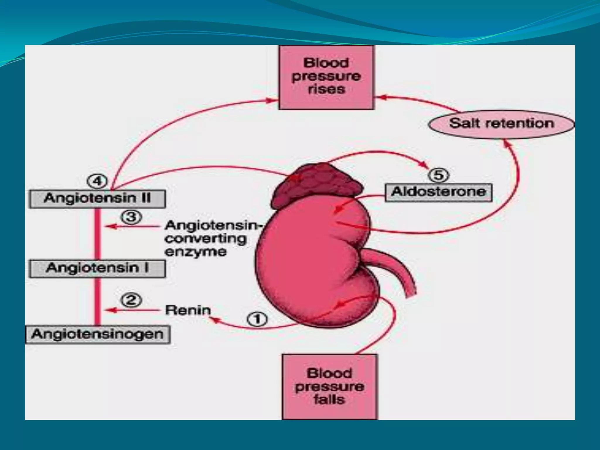  140 mg/dl or more – diagnostic of DMPostprandial blood sugarBlood is withdrawn 2 hrs. after a meal