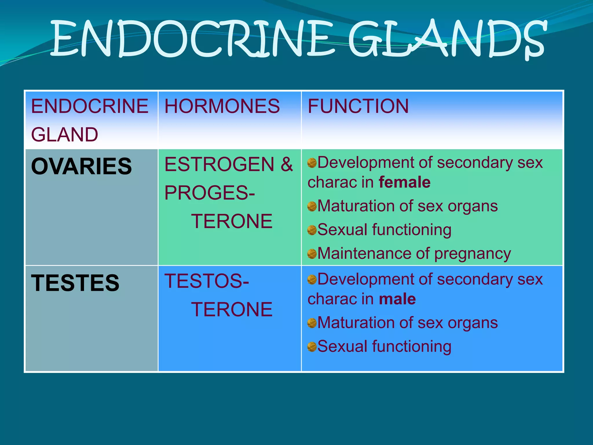 ENDOCRINE GLANDS