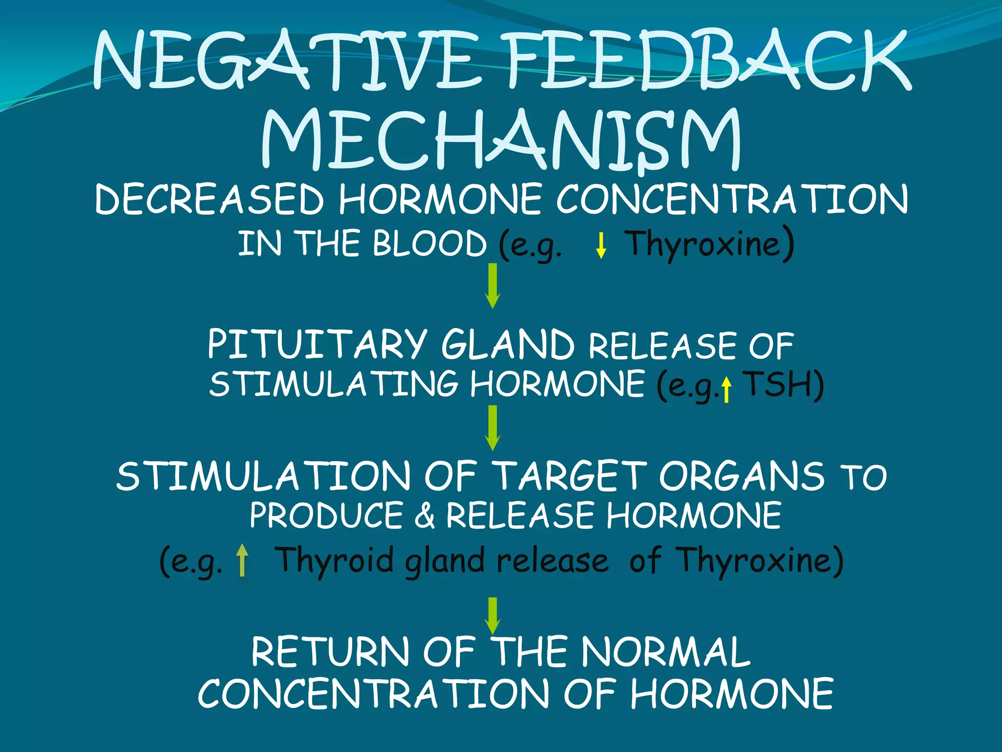 ENDOCRINE GLANDS