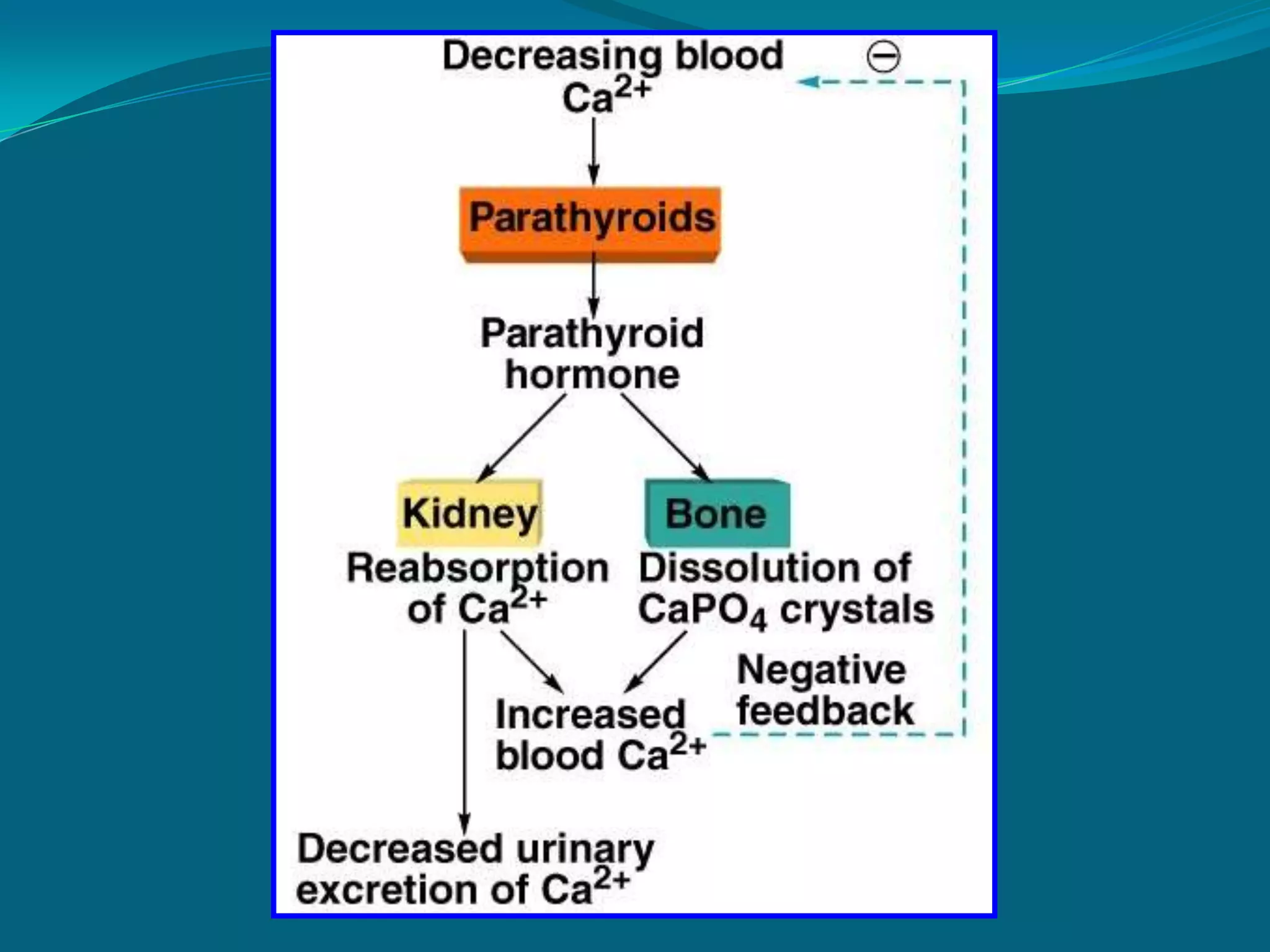 Assessment Findings: Thyroid stormAnxiety