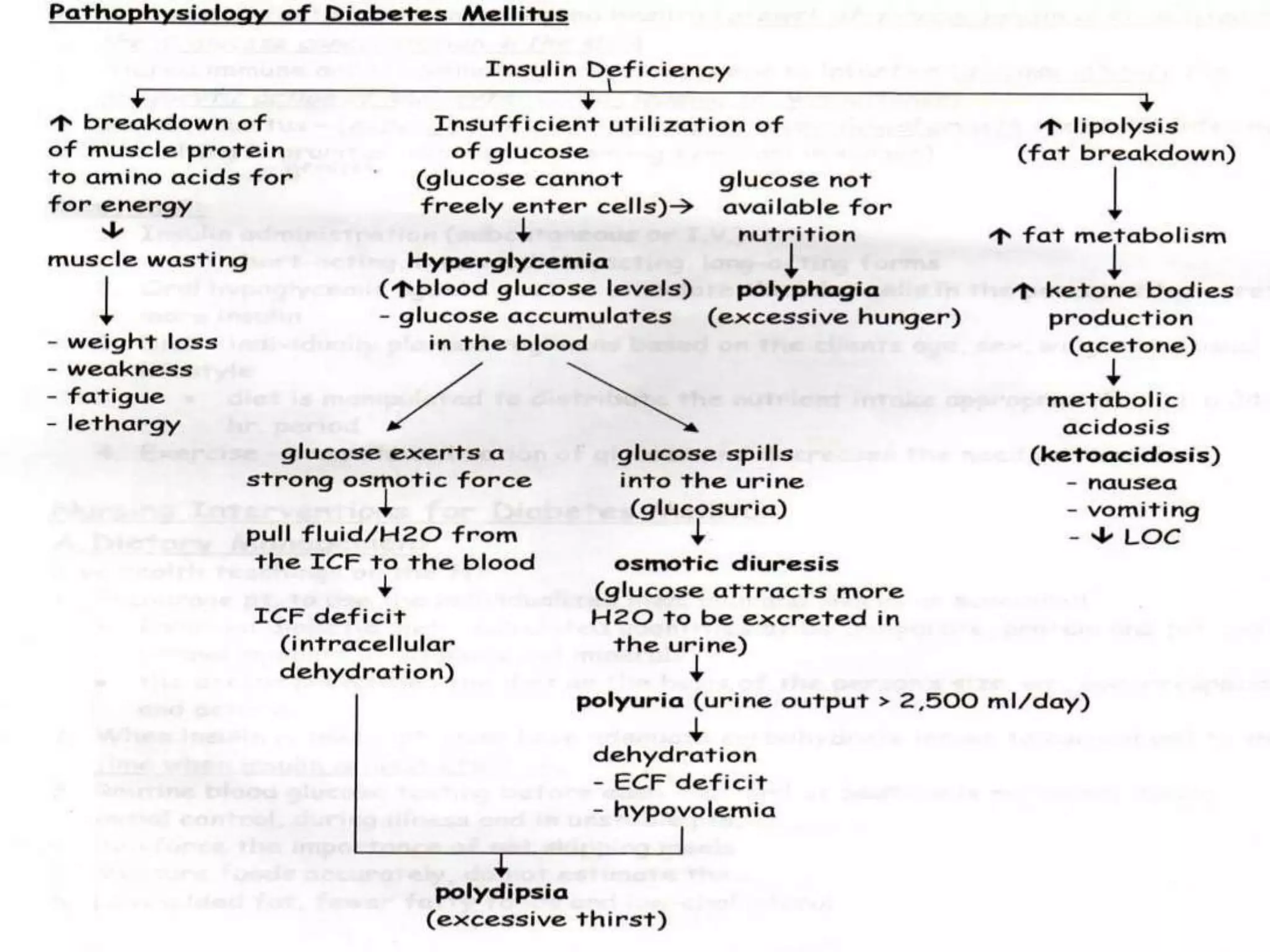  elevate head of bed 30o, support head and neck – to    avoid tension on suturescheck dressing frequently, check behind the neck for    bleeding assess for signs of resp. distress, hoarseness    (laryngeal edema or damage) keep tracheostomy set in patient’s room for emergency    use