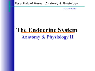 Essentials of Human Anatomy & Physiology
                              Seventh Edition




The Endocrine System
    Anatomy & Physiology II
 