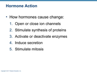 Copyright © 2011 Pearson Education, Inc.
Hormone Action
• How hormones cause change:
1. Open or close ion channels
2. Stimulate synthesis of proteins
3. Activate or deactivate enzymes
4. Induce secretion
5. Stimulate mitosis
 