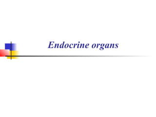 Endocrine organs
 