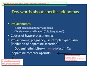 Few words about specific adenomas
• Prolactinomas:
‐ Most common pituitary adenoma
‐ Tendency for calcification (“pituitary stone”)
• Causes of hyperprolactinemia:
• Prolactinoma, pregnancy, lactotroph hyperplasia
(inhibition of dopamine secretion)
Dopamine(inhibitory) prolactin Tx:
dopamine receptor agonists
Any time you have inhibition
of dopamine secretion (e.g.
stalk damage or apoplexy)
you get hyperprolactinemia.
Simulate dopaminergic
inhibition of the
adenohypophysis to decrease
prolactin secretion.
Starting to go into some specific pituitary adenomas. Prolactinoma ---->
hyperprolactinemia
 