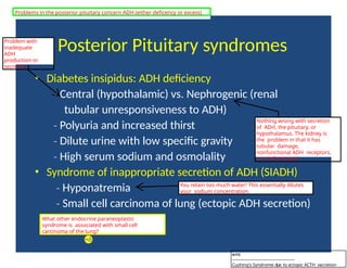 Posterior Pituitary syndromes
• Diabetes insipidus: ADH deficiency
‐ Central (hypothalamic) vs. Nephrogenic (renal
tubular unresponsiveness to ADH)
‐ Polyuria and increased thirst
‐ Dilute urine with low specific gravity
‐ High serum sodium and osmolality
• Syndrome of inappropriate secretion of ADH (SIADH)
‐ Hyponatremia
‐ Small cell carcinoma of lung (ectopic ADH secretion)
Nothing wrong with secretion
of ADH, the pituitary, or
hypothalamus. The kidney is
the problem in that it has
tubular damage,
nonfunctional ADH receptors,
or nonfunctional
You retain too much water! This essentially dilutes
your sodium concentration.
What other endocrine paraneoplastic
syndrome is associated with small cell
carcinoma of the lung?
Problems in the posterior pituitary concern ADH (either deficency or excess)
Problem with
inadequate
ADH
production or
secretion
tcl12
--------------------------------------------
Cushing's Syndrome due to ectopic ACTH secretion
 