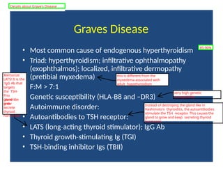 Graves Disease
• Most common cause of endogenous hyperthyroidism
• Triad: hyperthyroidism; infiltrative ophthalmopathy
(exophthalmos); localized, infiltrative dermopathy
(pretibial myxedema)
• F:M > 7:1
• Genetic susceptibility (HLA B8
‐ and –DR3)
• Autoimmune disorder:
• Autoantibodies to TSH receptor:
• LATS (long acting
‐ thyroid stimulator); IgG Ab
• Thyroid growth stimulating
‐ Ig (TGI)
• TSH binding
‐ inhibitor Igs (TBII)
85-90%
this is different from the
myxedema associated with
adult hypothyroidism
very high genetic
susceptibility
Instead of destroying the gland like in
Hashimoto's thyroiditis, the autoantibodies
stimulate the TSH receptor. This causes the
gland to grow and keep secreting thyroid
hormones.
Memorize
LATS! It is the
IgG Ab that
targets
the TSH-
R to
cause the
gland to
grow
and
secrete
thyroid
hormones.
Details about Grave's Disease
 