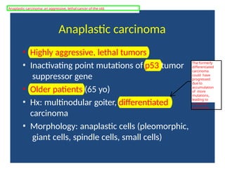 Anaplastic carcinoma
• Highly aggressive, lethal tumors
• Inactivating point mutations of p53 tumor
suppressor gene
• Older patients (65 yo)
• Hx: multinodular goiter, differentiated
carcinoma
• Morphology: anaplastic cells (pleomorphic,
giant cells, spindle cells, small cells)
The formerly
differentiated
carcinoma
could have
progressed
due to
accumulation
of more
mutations,
leading to
anaplastic
carcinoma.
Anaplastic carcinoma: an aggressive, lethal cancer of the old.
 