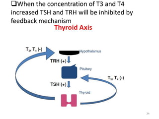 34
When the concentration of T3 and T4
increased TSH and TRH will be inhibited by
feedback mechanism
 
