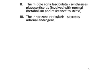 II. The middle zona fasciculata - synthesizes
glucocorticoids (involved with normal
metabolism and resistance to stress)
III. The inner zona reticularis - secretes
adrenal androgens
57
 