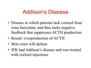 endocrine_physiology_2.ppt hypothalamic hormones | PPT