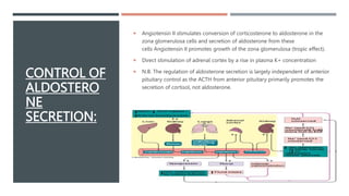 CONTROL OF
ALDOSTERO
NE
SECRETION:
 Angiotensin II stimulates conversion of corticosterone to aldosterone in the
zona glomerulosa cells and secretion of aldosterone from these
cells Angiotensin II promotes growth of the zona glomerulosa (tropic effect).
 Direct stimulation of adrenal cortex by a rise in plasma K+ concentration
 N.B. The regulation of aldosterone secretion is largely independent of anterior
pituitary control as the ACTH from anterior pituitary primarily promotes the
secretion of cortisol, not aldosterone.
 
