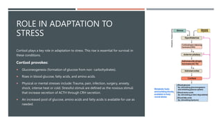 ROLE IN ADAPTATION TO
STRESS
Cortisol plays a key role in adaptation to stress. This rise is essential for survival in
these conditions.
Cortisol provokes:
 Gluconeogenesis (formation of glucose from non -carbohydrates).
 Rises in blood glucose, fatty acids, and amino acids.
 Physical or mental stresses include: Trauma, pain, infection, surgery, anxiety,
shock, intense heat or cold. Stressful stimuli are defined as the noxious stimuli
that increase secretion of ACTH through CRH secretion.
 An increased pool of glucose, amino acids and fatty acids is available for use as
needed.
 