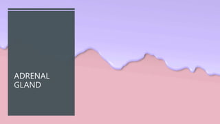 ADRENAL
GLAND
 