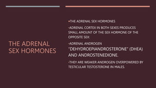 THE ADRENAL
SEX HORMONES
THE ADRENAL SEX HORMONES
•ADRENAL CORTEX IN BOTH SEXES PRODUCES
SMALL AMOUNT OF THE SEX HORMONE OF THE
OPPOSITE SEX:
•ADRENAL ANDROGEN
“DEHYDROEPIANDROSTERONE” (DHEA)
AND ANDROSTENEDIONE.
•THEY ARE WEAKER ANDROGEN OVERPOWERED BY
TESTICULAR TESTOSTERONE IN MALES.
 