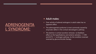 ADRENOGENITA
L SYNDROME:
 Adult males:
 Over activity of adrenal androgens in adult males has no
apparent effect.
 The adrenogenital syndrome is most commonly caused by
enzymatic defect in the cortisol steroidogenic pathway.
 The decline in cortisol secretion removes –ve feedback
effect on the hypothalamus and anterior pituitary →↑ CRH
and ACTH →↑ androgen pathway. So the condition reversed
reversed by glucocorticoids therapy.
 