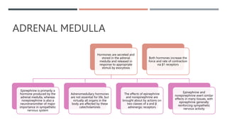 ADRENAL MEDULLA
Hormones are secreted and
stored in the adrenal
medulla and released in
response to appropriate
stimuli by exocytosis
Epinephrine is primarily a
hormone produced by the
adrenal medulla, whereas
norepinephrine is also a
neurotransmitter of major
importance in sympathetic
nervous system
Adrenomedullary hormones
are not essential for life, but
virtually all organs in the
body are affected by these
catecholamines
The effects of epinephrine
and norepinephrine are
brought about by actions on
two classes of a and β
adrenergic receptors
Epinephrine and
norepinephrine exert similar
effects in many tissues, with
epinephrine generally
reinforcing sympathetic
nervous activity
Both hormones increase the
force and rate of contraction
via β1 receptors
 