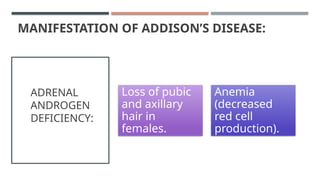 Endocrine Physiology ADRENAL CORTEX.pptx