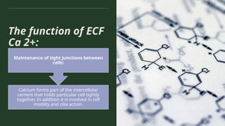 The function of ECF
Ca 2+:
Calcium forms part of the intercellular
cement that holds particular cell tightly
together. In addition it is involved in cell
motility and cilia action.
Maintenance of tight junctions between
cells:
 